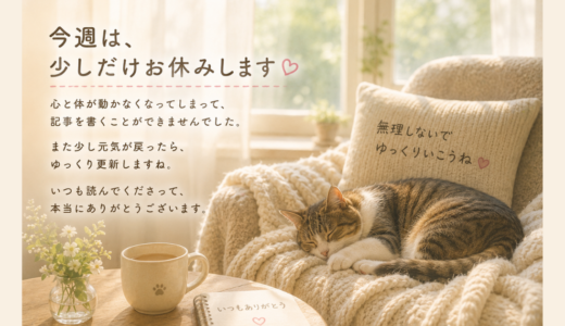 今週は、少しだけお休みします🌿